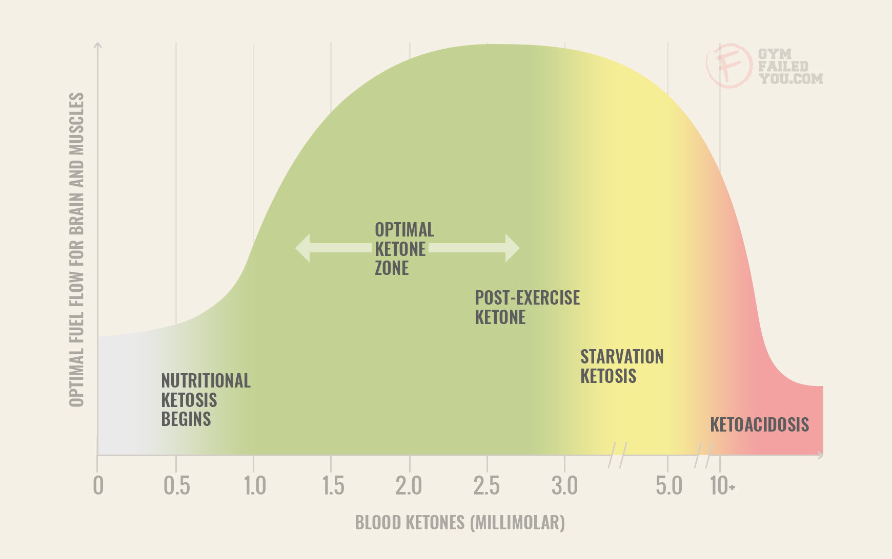 Diferencia entre cetosis y ketosis