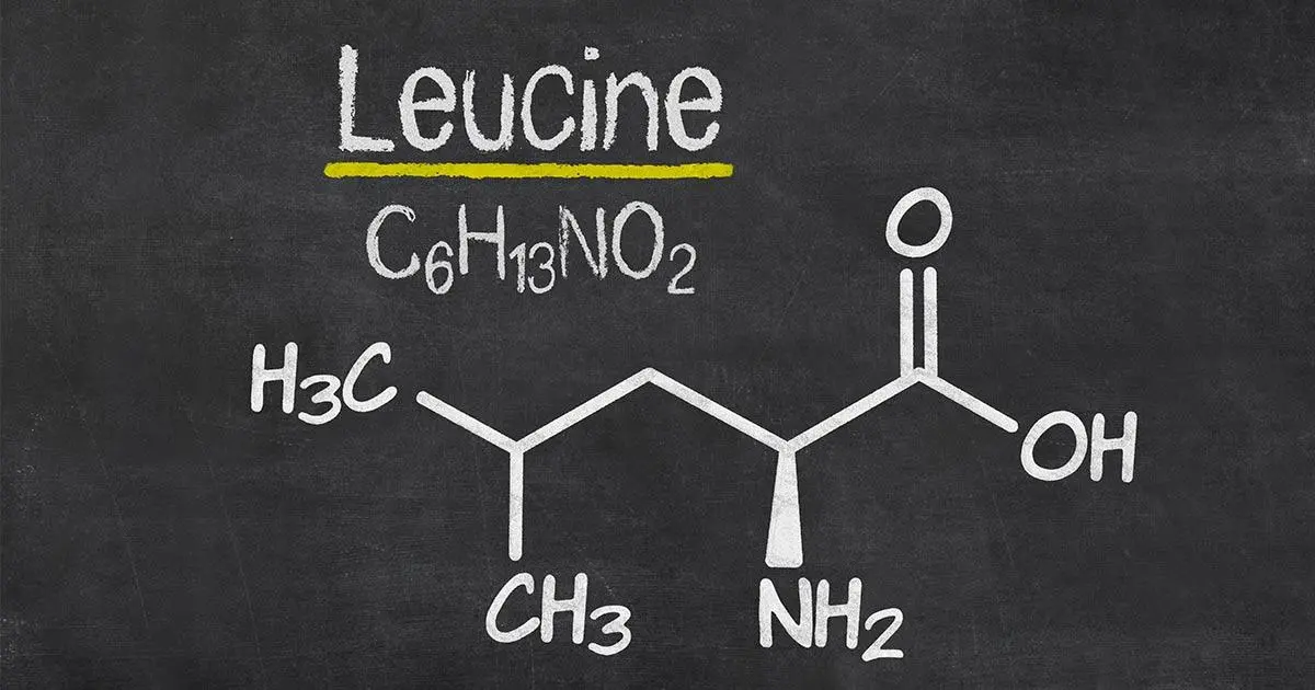 Leucine Amino Acid Supplement