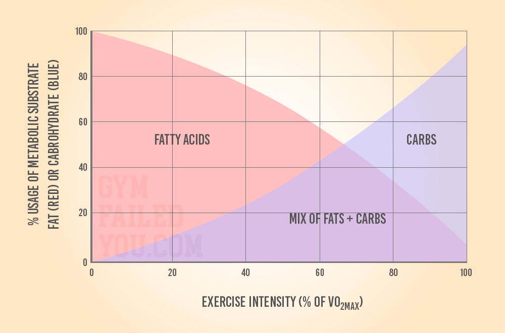 Burn More Fat Systems