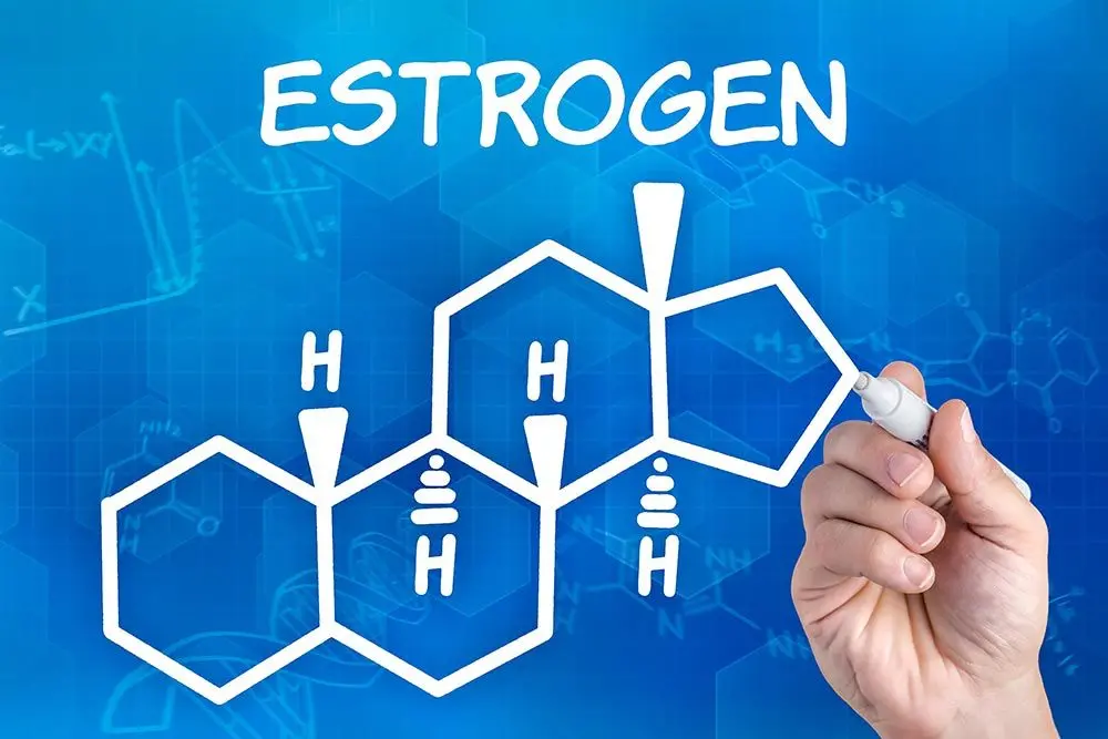 Estrogen Effects Weight Loss