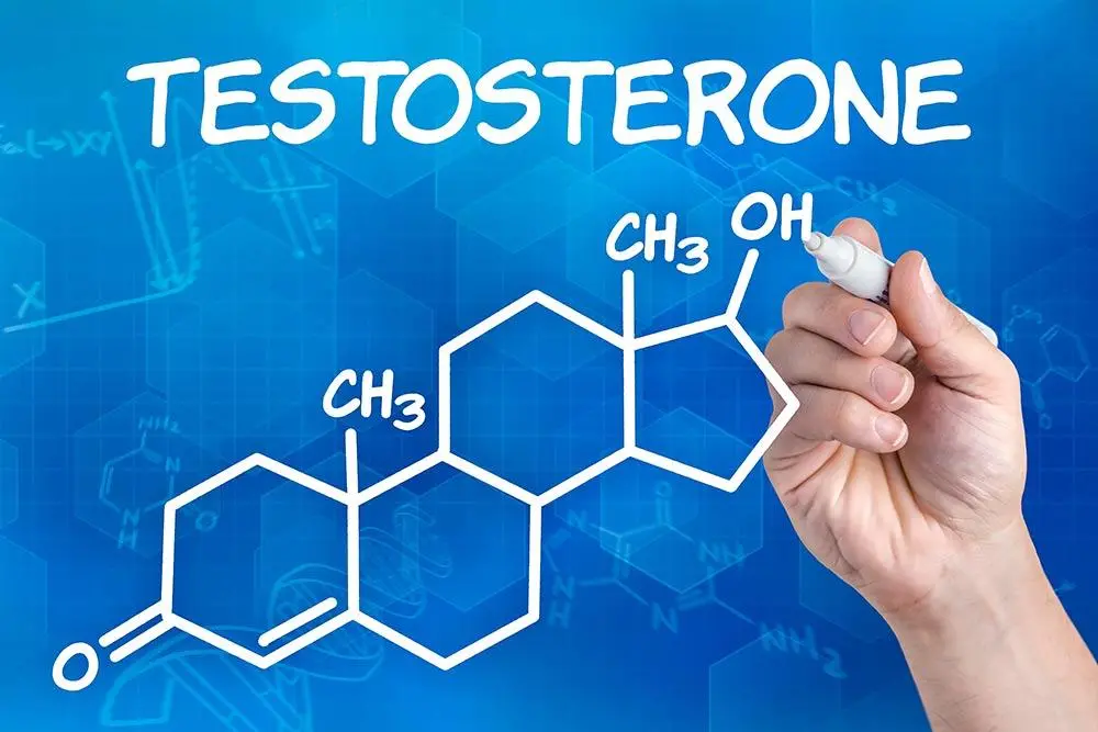 Testosterone Effects Weight Loss