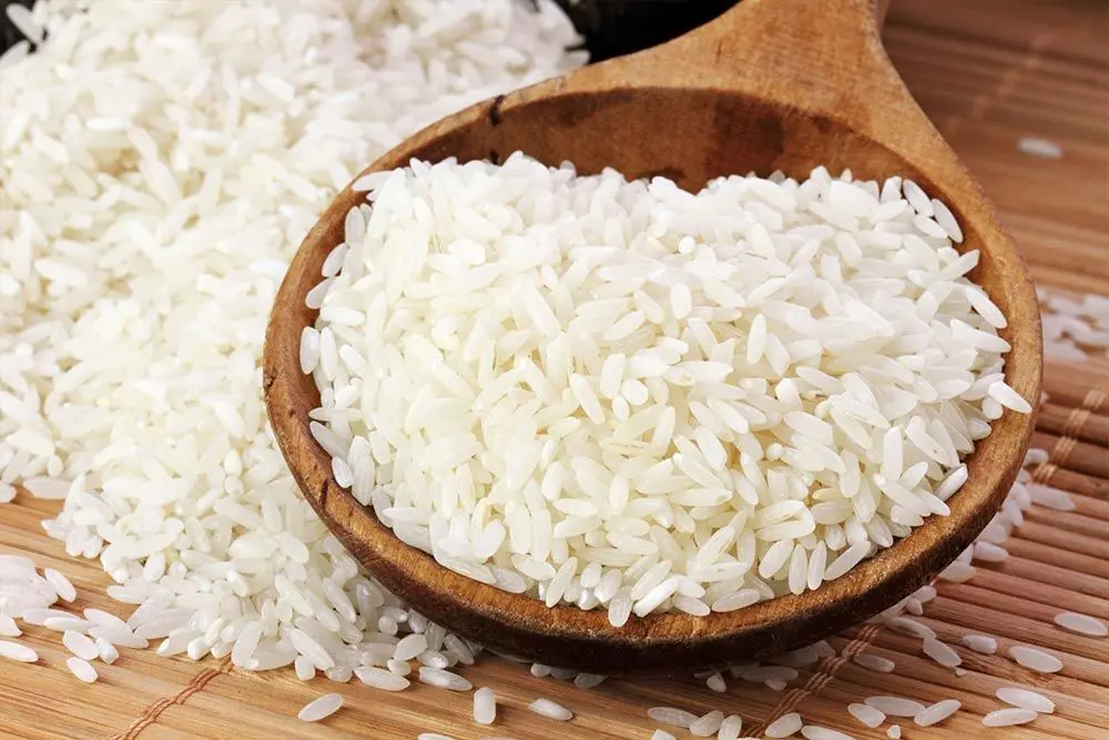 Rice Protein Powder