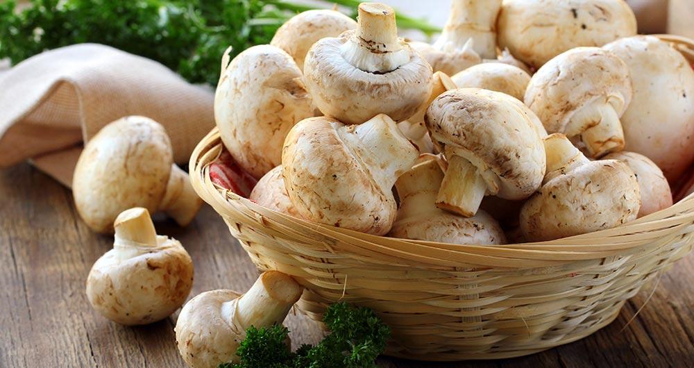 mushrooms nutrition