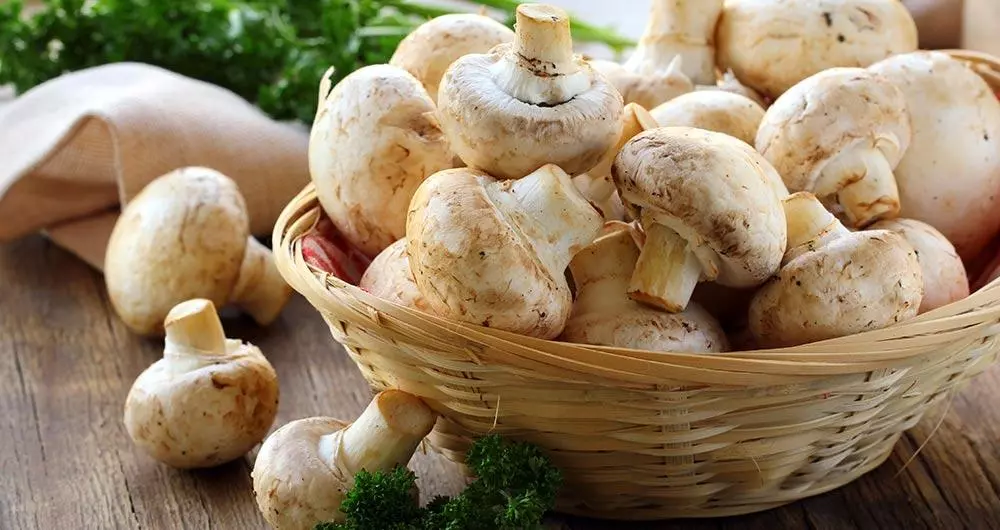 mushrooms nutrition