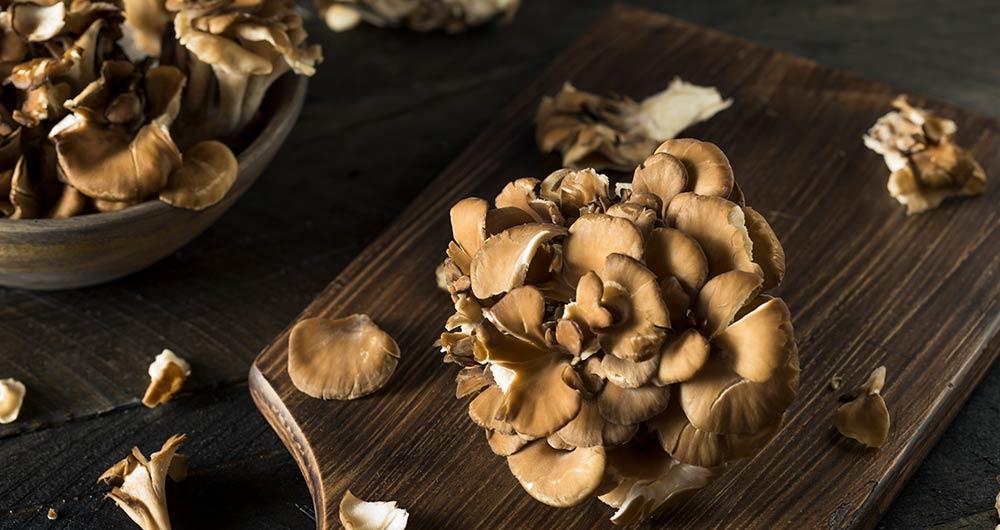 Maitake Mushroom Health Benefits