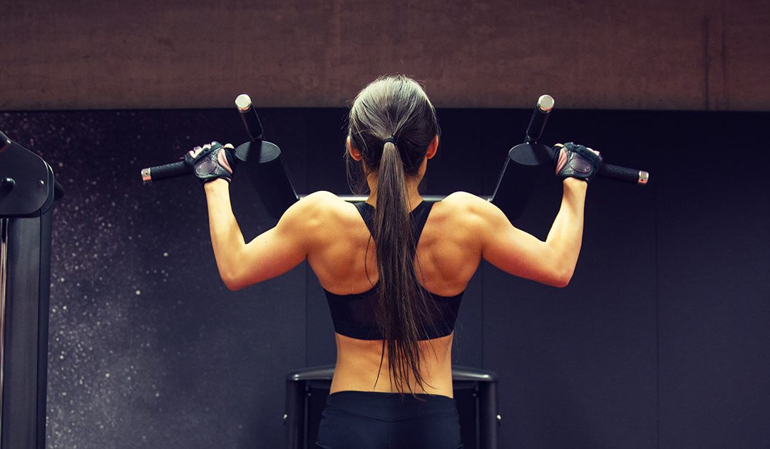 Best Back Workouts Guide